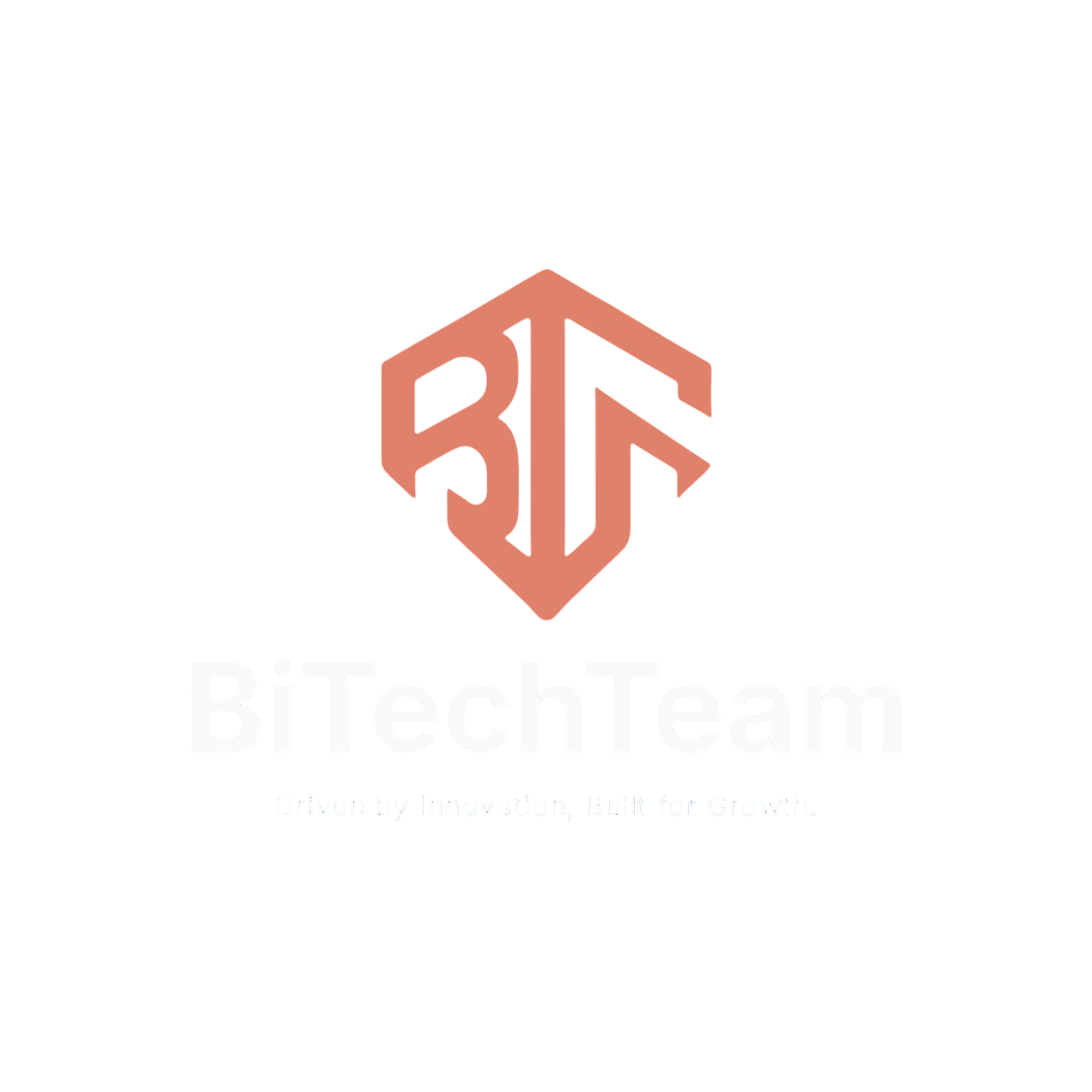 BiTechTeam Logo